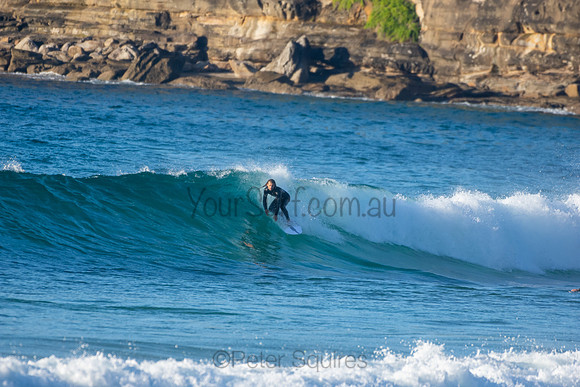 Whale Beach