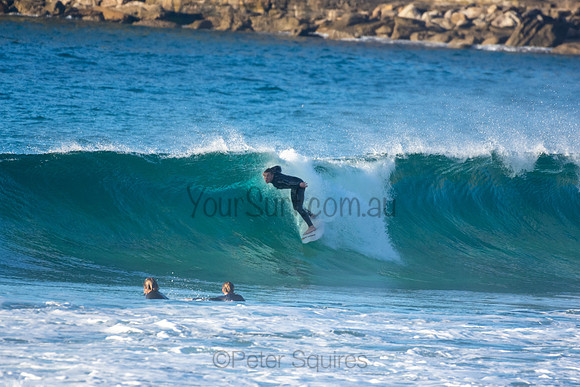 Whale Beach