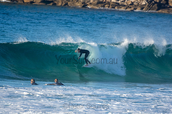 Whale Beach