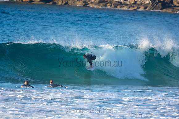 Whale Beach