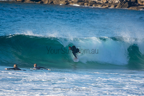 Whale Beach