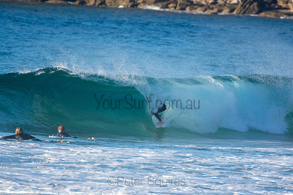 Whale Beach
