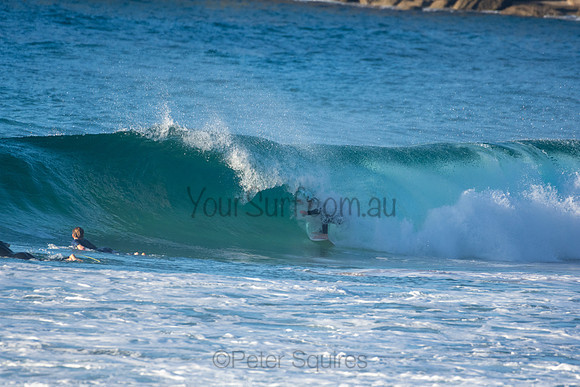 Whale Beach