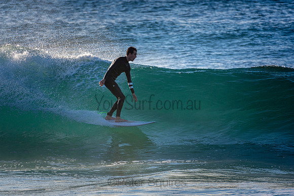 Whale Beach