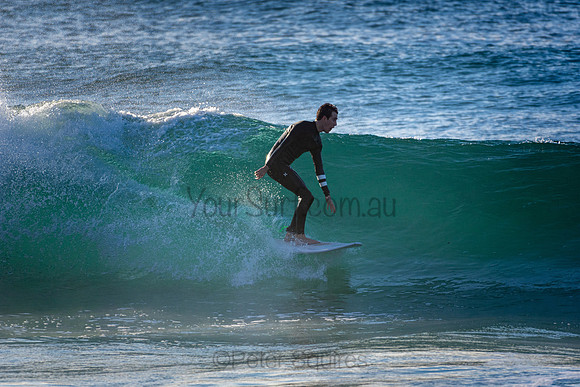 Whale Beach