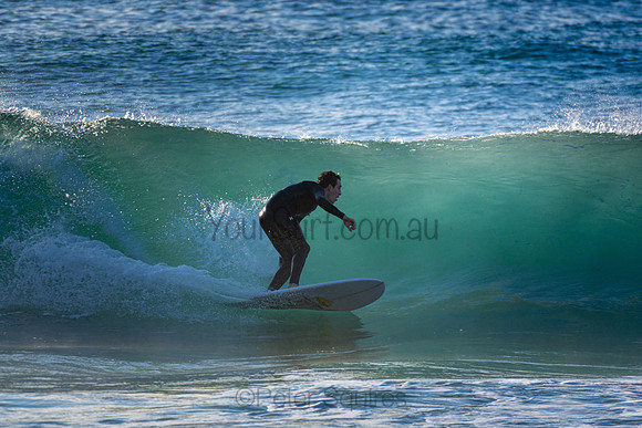 Whale Beach