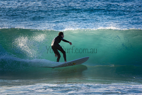 Whale Beach