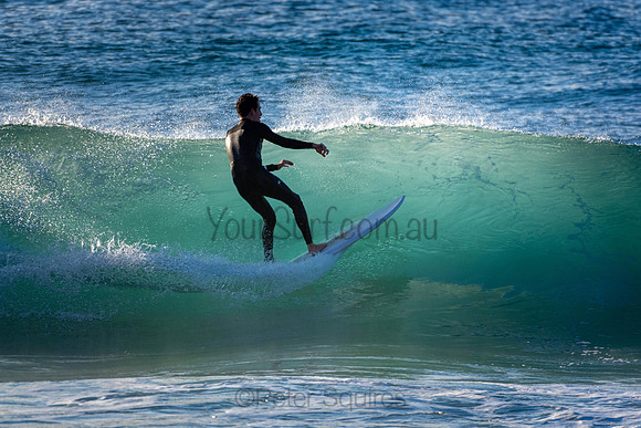 Whale Beach