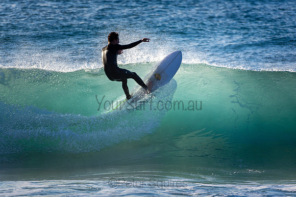 Whale Beach