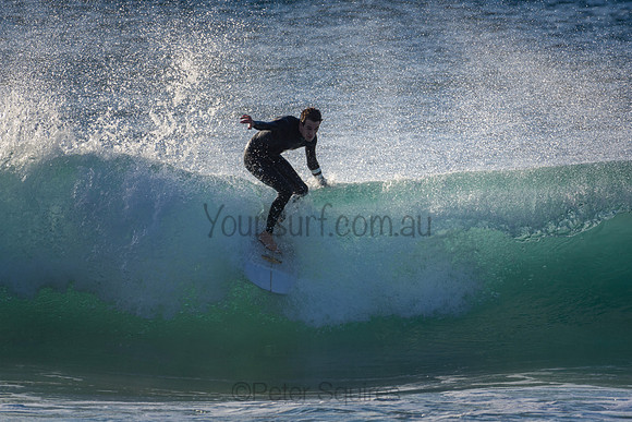Whale Beach