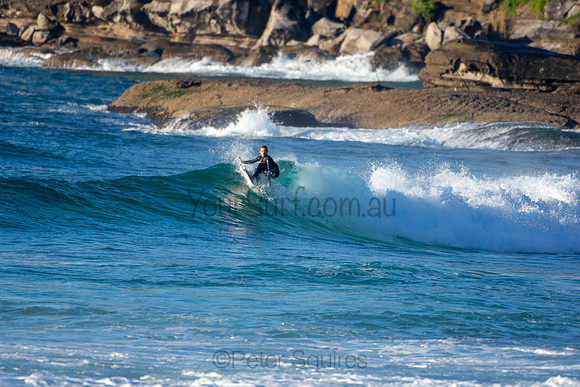Whale Beach