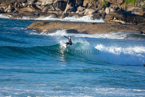 Whale Beach