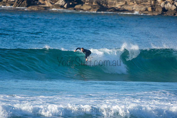Whale Beach