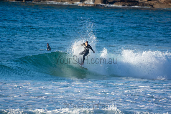 Whale Beach