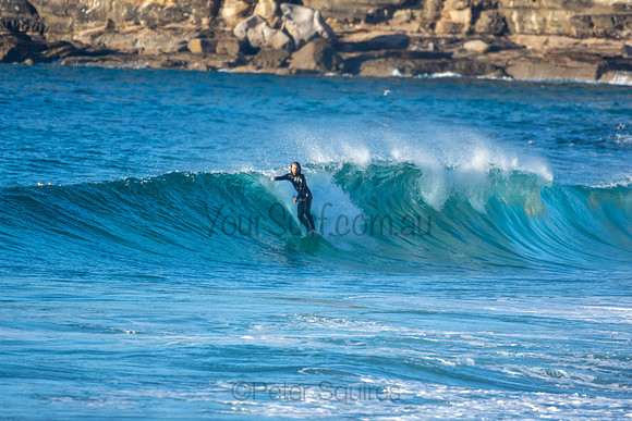 Whale Beach