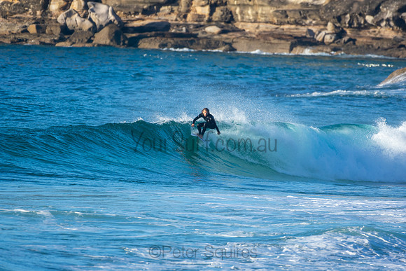 Whale Beach