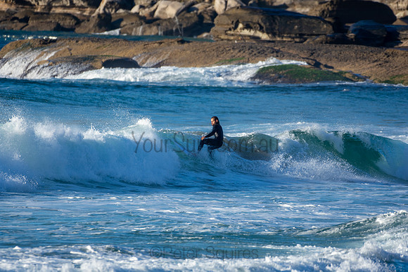 Whale Beach