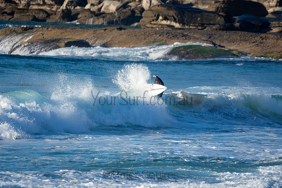 Whale Beach