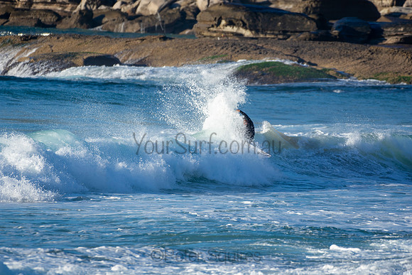 Whale Beach