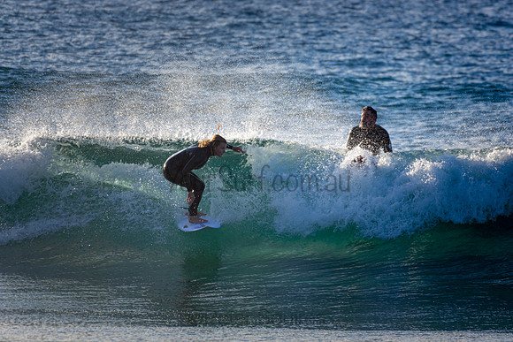 Whale Beach