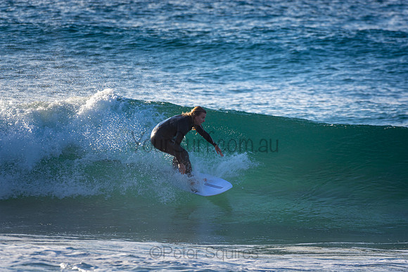 Whale Beach