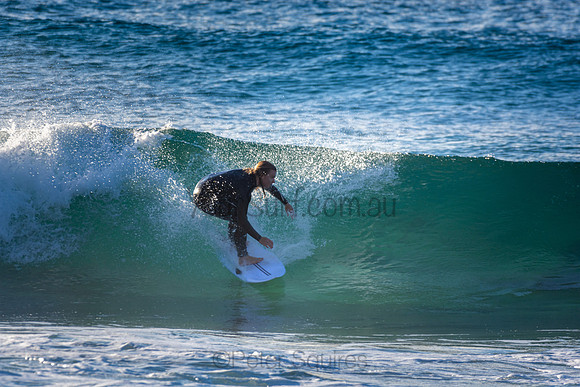 Whale Beach