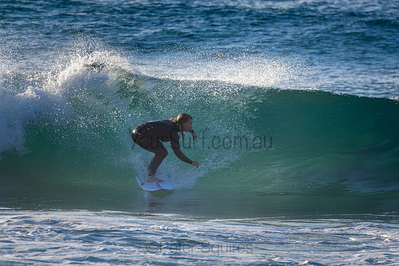 Whale Beach