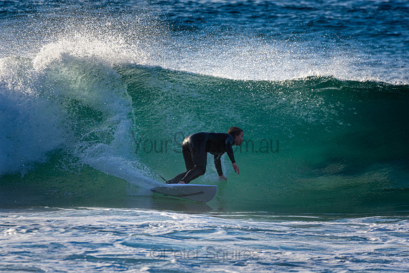 Whale Beach