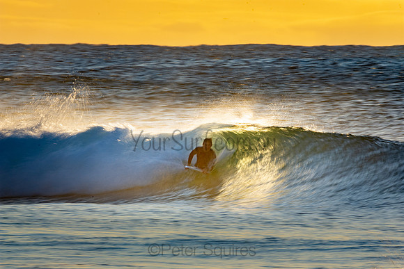 Whale Beach 25/6/20