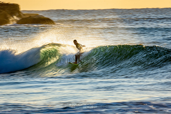 Whale Beach 25/6/20