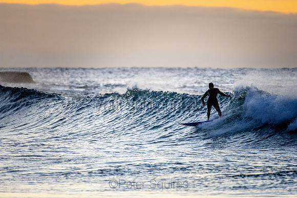 Whale Beach 25/6/20