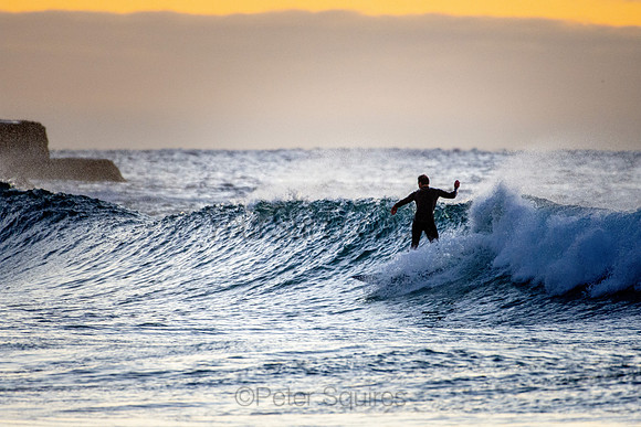 Whale Beach 25/6/20