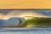 Whale Beach 25/6/20