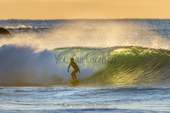 Whale Beach 25/6/20