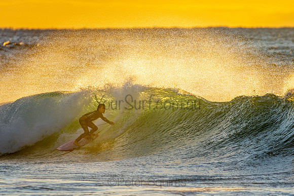 Whale Beach 25/6/20