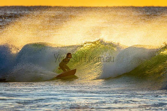 Whale Beach 25/6/20