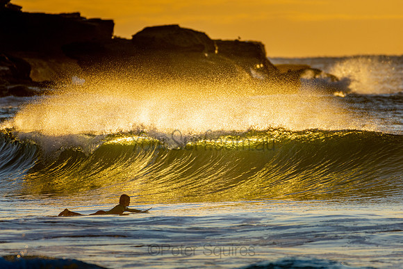 Whale Beach 25/6/20