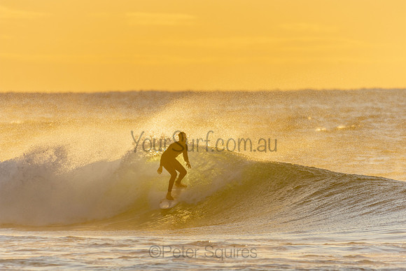 Whale Beach 25/6/20