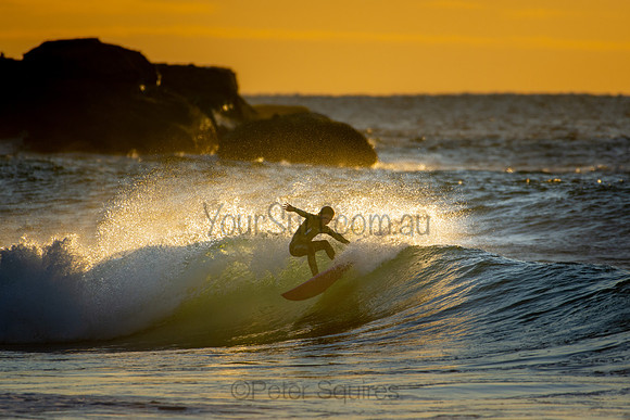 Whale Beach 25/6/20