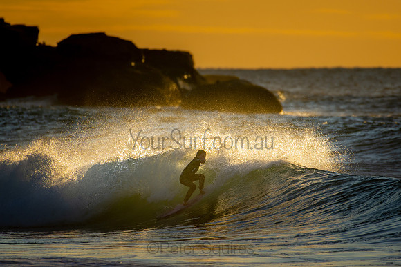 Whale Beach 25/6/20