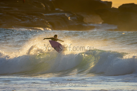 Whale Beach 25/6/20