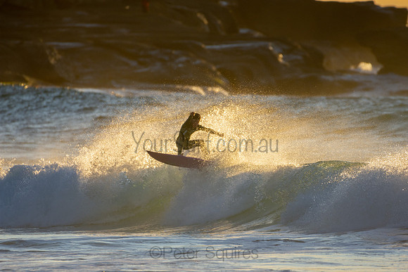 Whale Beach 25/6/20