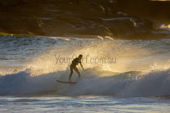 Whale Beach 25/6/20