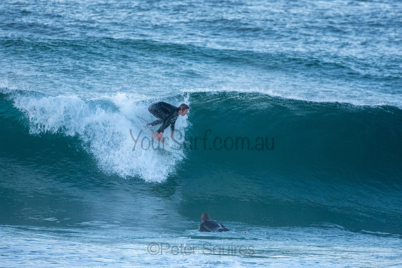 Nth Avalon 26/6/20