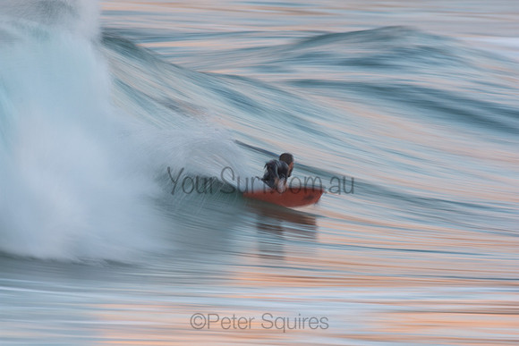 Whale Beach 29/6/20