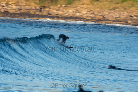 Nth Avalon 1/7/20