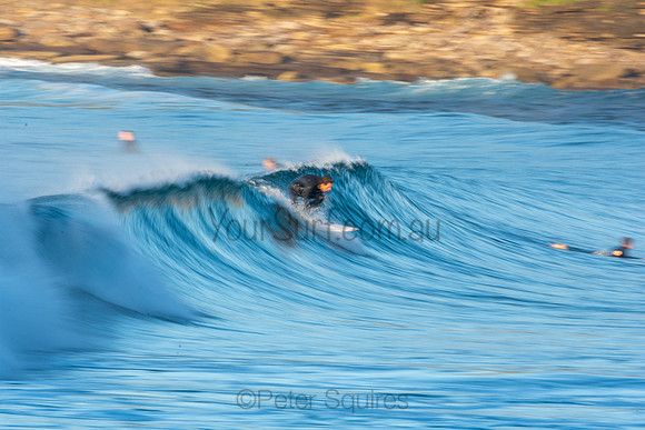 Nth Avalon 1/7/20