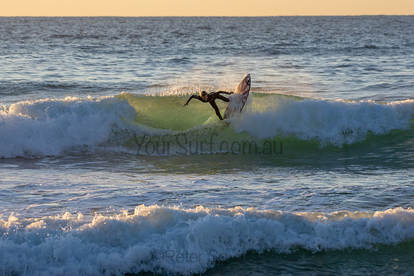 Whale Beach 2/7/20