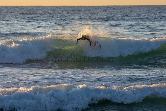 Whale Beach 2/7/20