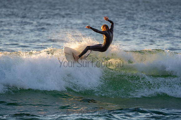Whale Beach 2/7/20